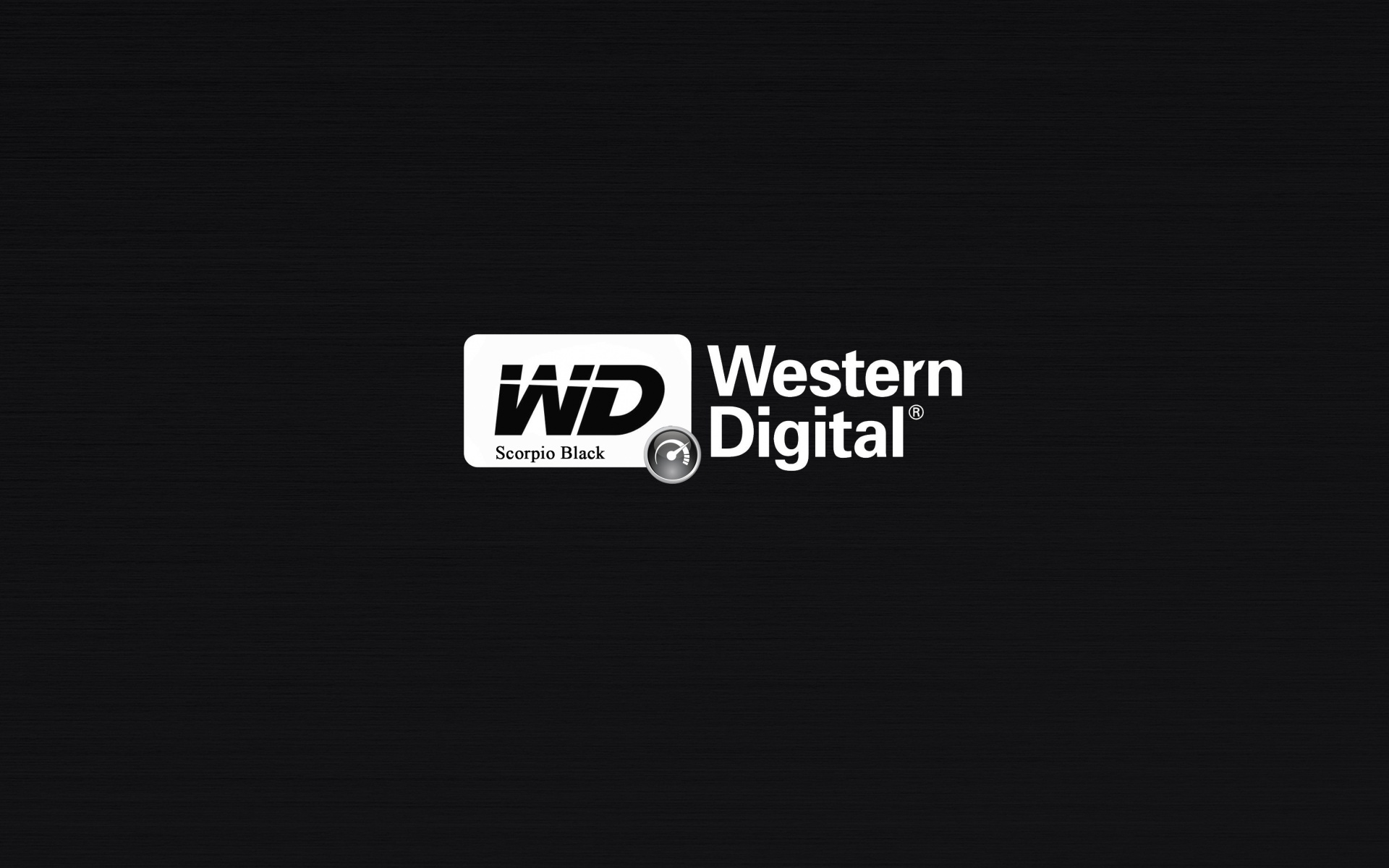 Western Digital  SanDisk  $19 